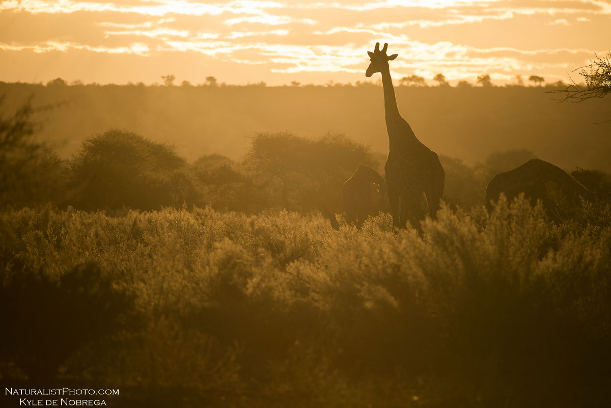 A land of unsurpassed beauty